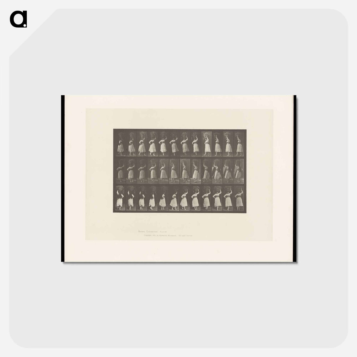 アートポストカード-Woman with Basket
 - エドワード マイブリッジ Postcard.