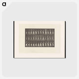 アートポストカード-Woman with Basket
 - エドワード マイブリッジ Postcard.