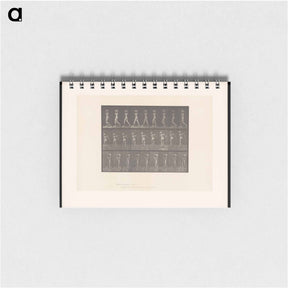 アートメモ帳-Man with Rock
 - エドワード マイブリッジ Memo.