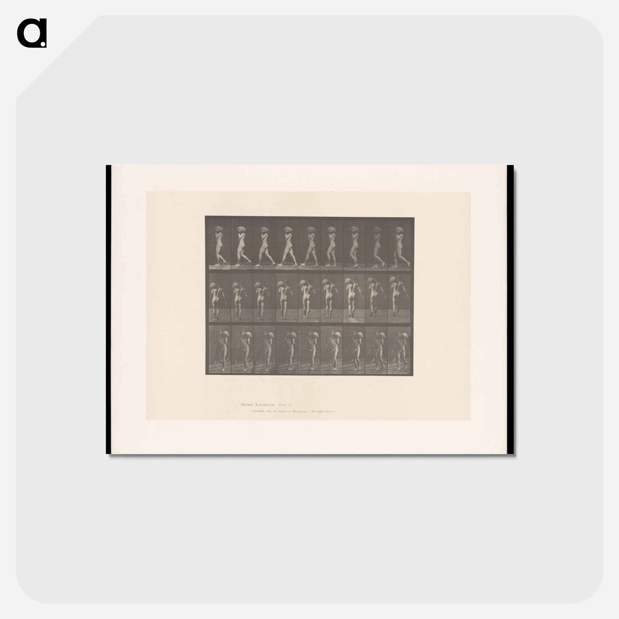 アートポストカード-Man with Rock
 - エドワード マイブリッジ Postcard.