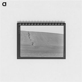 アートメモ帳-Untitled photo - ドロテア ラング Memo.