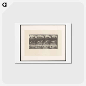 アートポストカード-Ring Bell Horses
 - エドワード マイブリッジ Postcard.