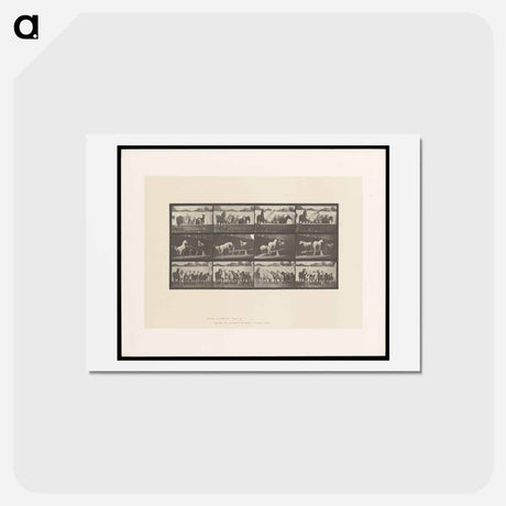 アートポストカード-Ring Bell Horses
 - エドワード マイブリッジ Postcard.