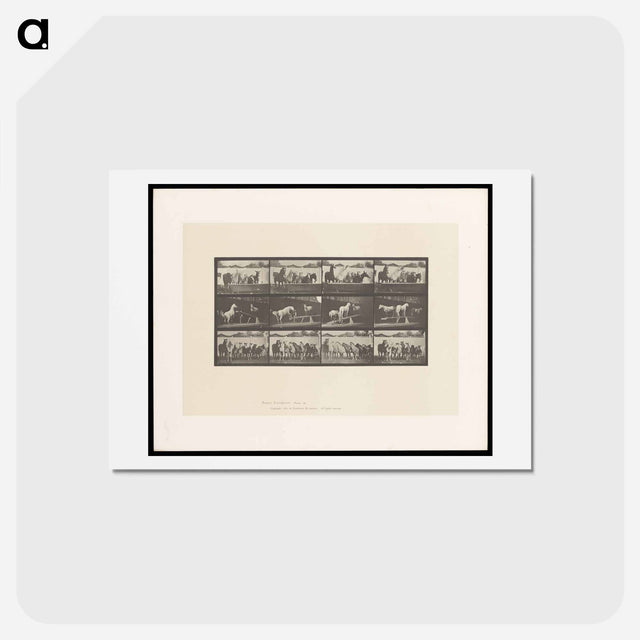 アートポストカード-Ring Bell Horses
 - エドワード マイブリッジ Postcard.