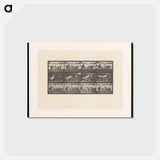 アートポストカード-Ring Bell Horses
 - エドワード マイブリッジ Postcard.