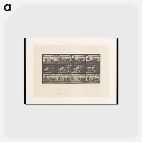 アートポストカード-Ring Bell Horses
 - エドワード マイブリッジ Postcard.