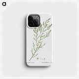 French tamarisk - Pierre Joseph Redouté Phone Case.