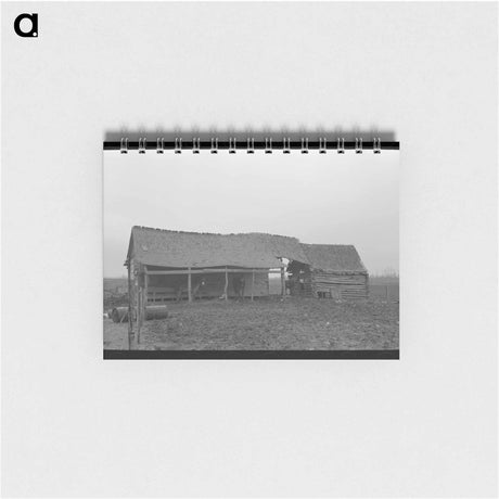 アートメモ帳-Guayule Seedling Digger
 - ラッセル リー Memo.