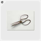 アートポストカード-Scissors
 - バーンズ・コレクション Postcard.