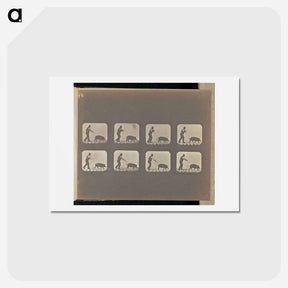 アートポストカード-Trotting
 - エドワード マイブリッジ Postcard.