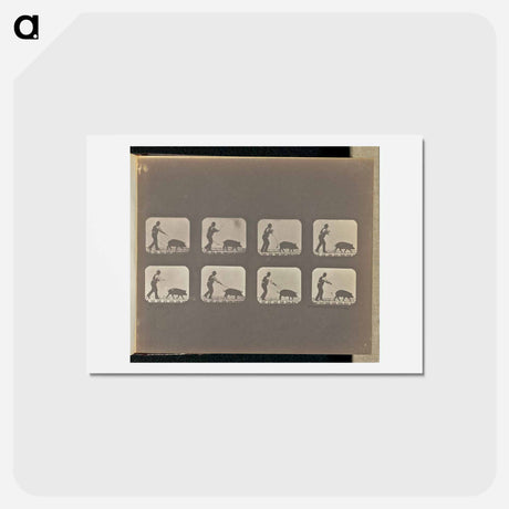 アートポストカード-Trotting
 - エドワード マイブリッジ Postcard.