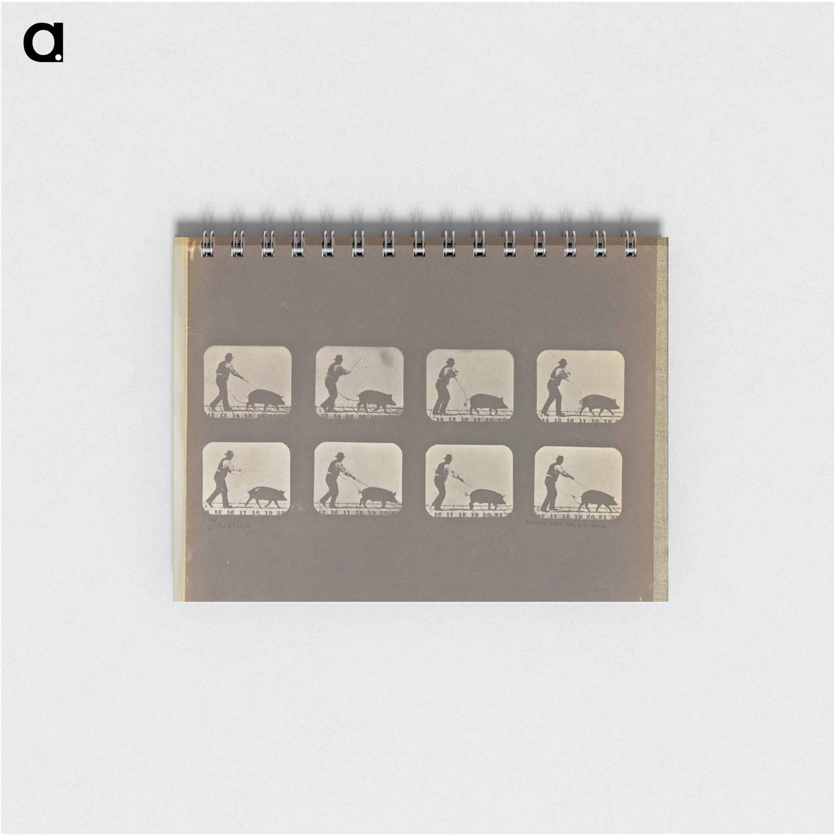 アートメモ帳-Trotting
 - エドワード マイブリッジ Memo.