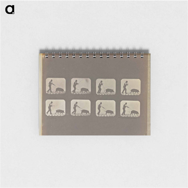 アートメモ帳-Trotting
 - エドワード マイブリッジ Memo.