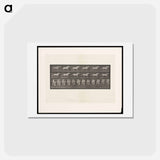 アートポストカード-Cantering Horse
 - エドワード マイブリッジ Postcard.