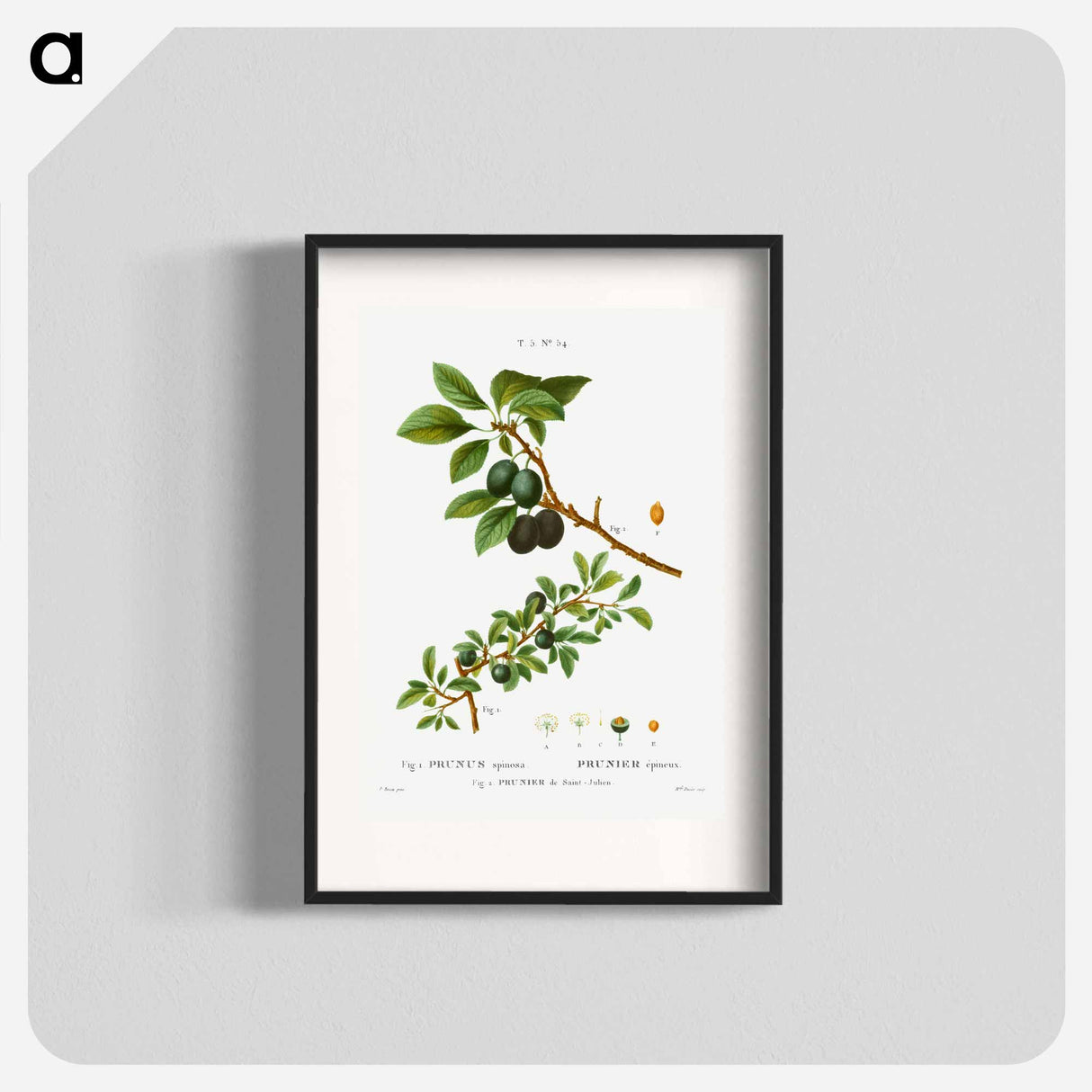 Blackthorn - Pierre Joseph Redouté Poster.