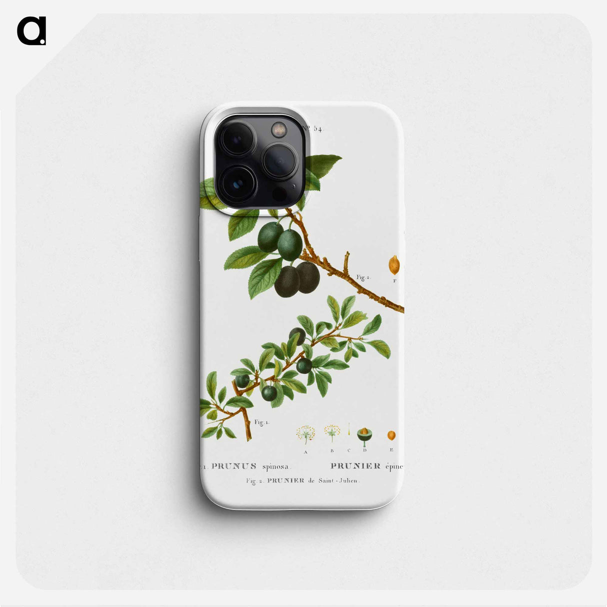 Blackthorn - Pierre Joseph Redouté Phone Case.