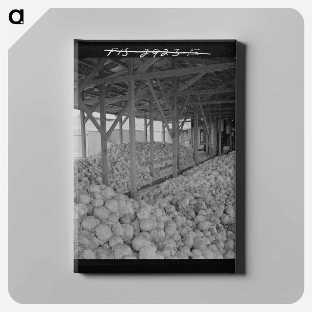 アートパネル-Silverton Rooming House
 - ラッセル リー Canvas.