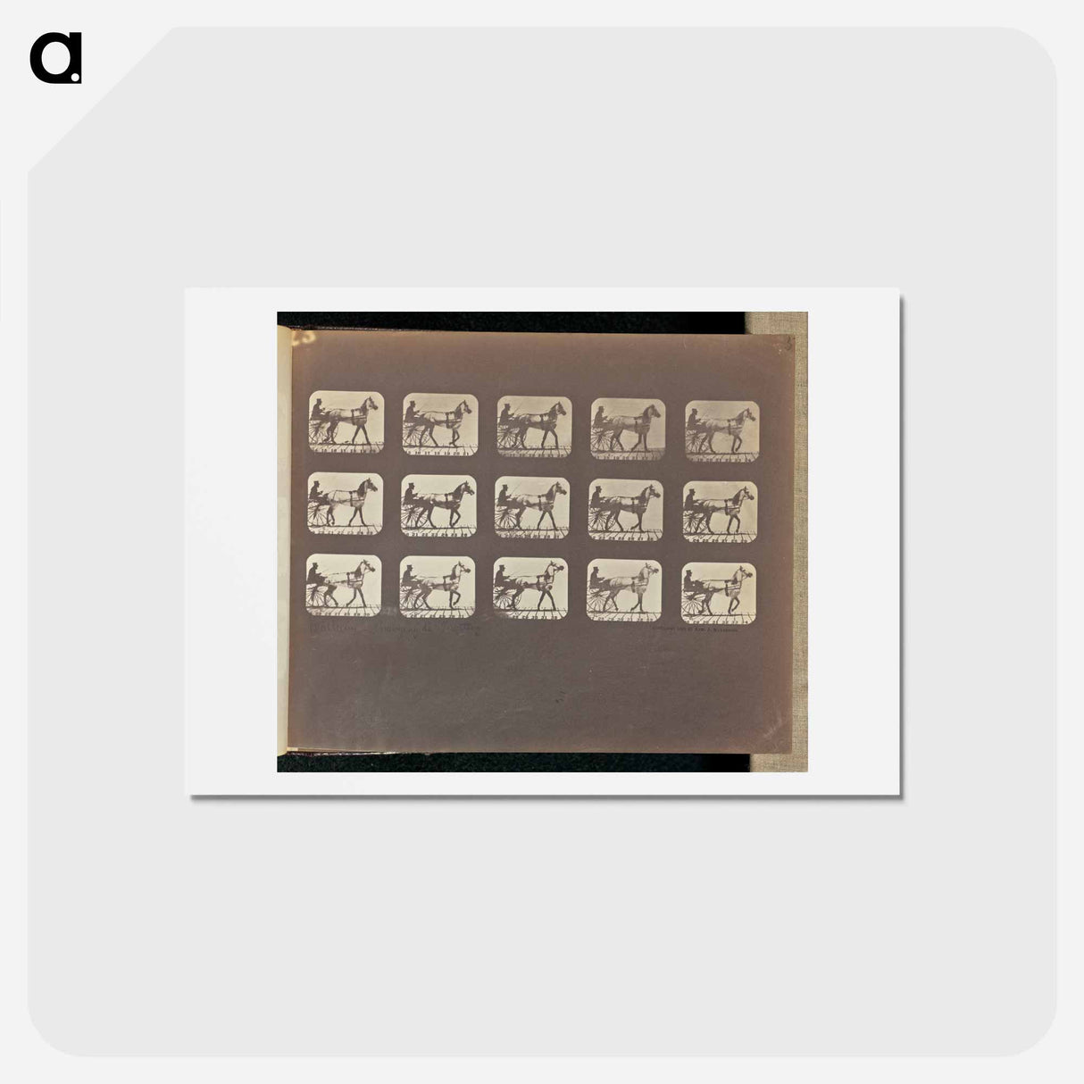 アートポストカード-Walking - Changing to Trotting
 - エドワード マイブリッジ Postcard.