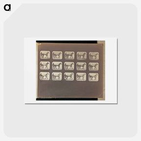 アートポストカード-Walking - Changing to Trotting
 - エドワード マイブリッジ Postcard.
