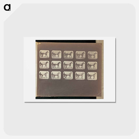 アートポストカード-Walking - Changing to Trotting
 - エドワード マイブリッジ Postcard.