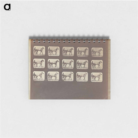 アートメモ帳-Walking - Changing to Trotting
 - エドワード マイブリッジ Memo.