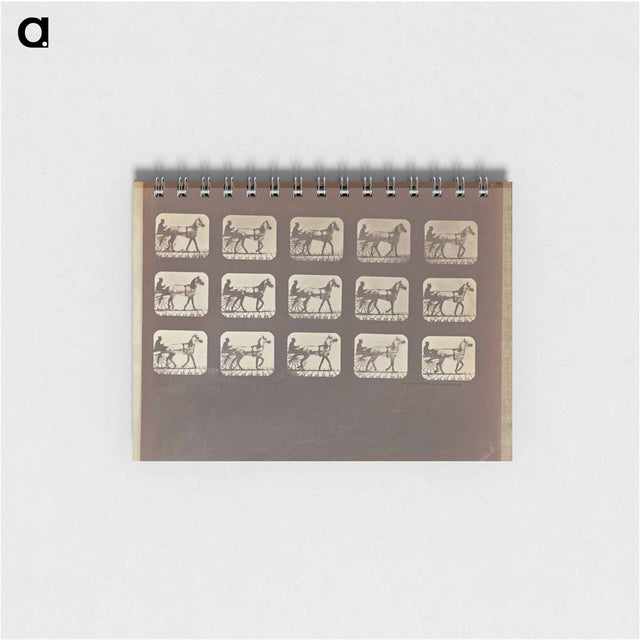 アートメモ帳-Walking - Changing to Trotting
 - エドワード マイブリッジ Memo.