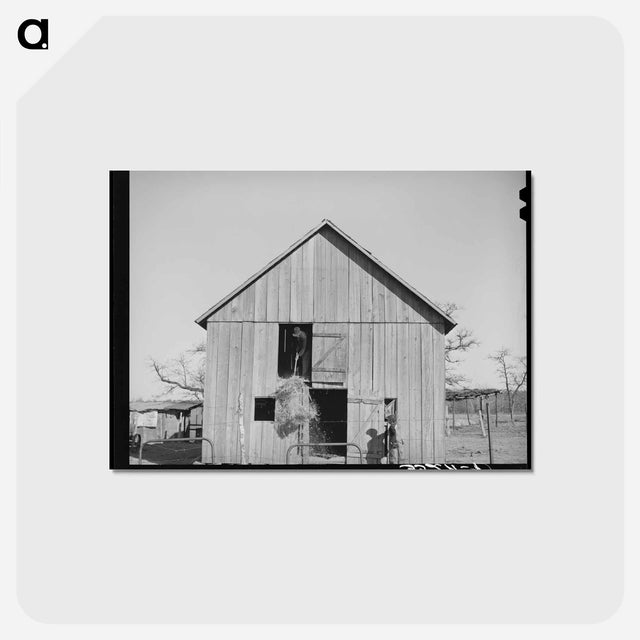 アートポストカード-Hayloft Brothers
 - ラッセル リー Postcard.
