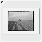 Abandoned tenant house - Dorothea Lange Poster.