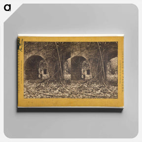 アートパネル-Chagres. Entrance to Fort.
 - エドワード マイブリッジ Canvas.