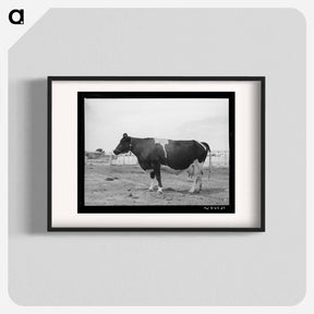 アートポスター-Casa Grande Holstein
 - ラッセル リー Poster.