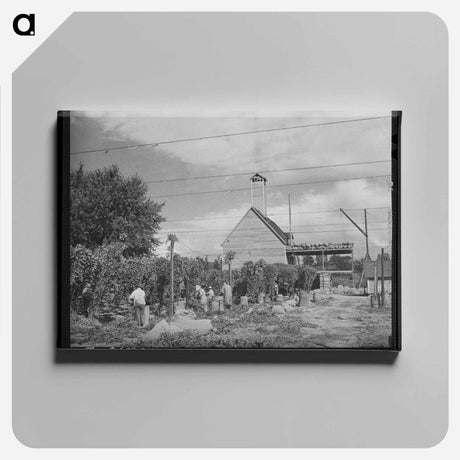 アートパネル-Casa Grande Holstein
 - ラッセル リー Canvas.