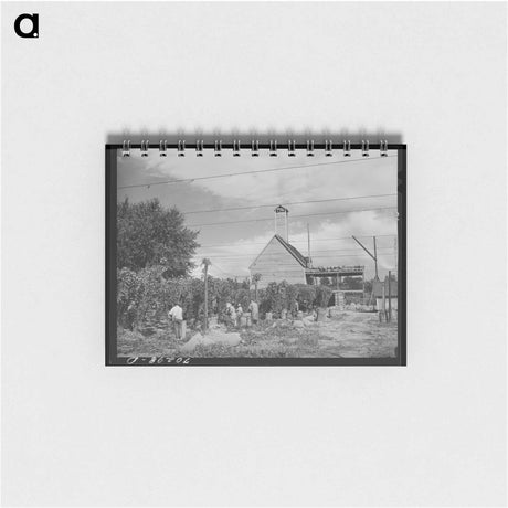 アートメモ帳-Casa Grande Holstein
 - ラッセル リー Memo.