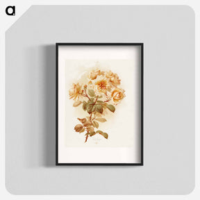 アートポスター-Yellow Roses
 - ボストン公共図書館 Poster.