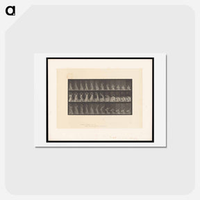 アートポストカード-Woman with Pot
 - エドワード マイブリッジ Postcard.