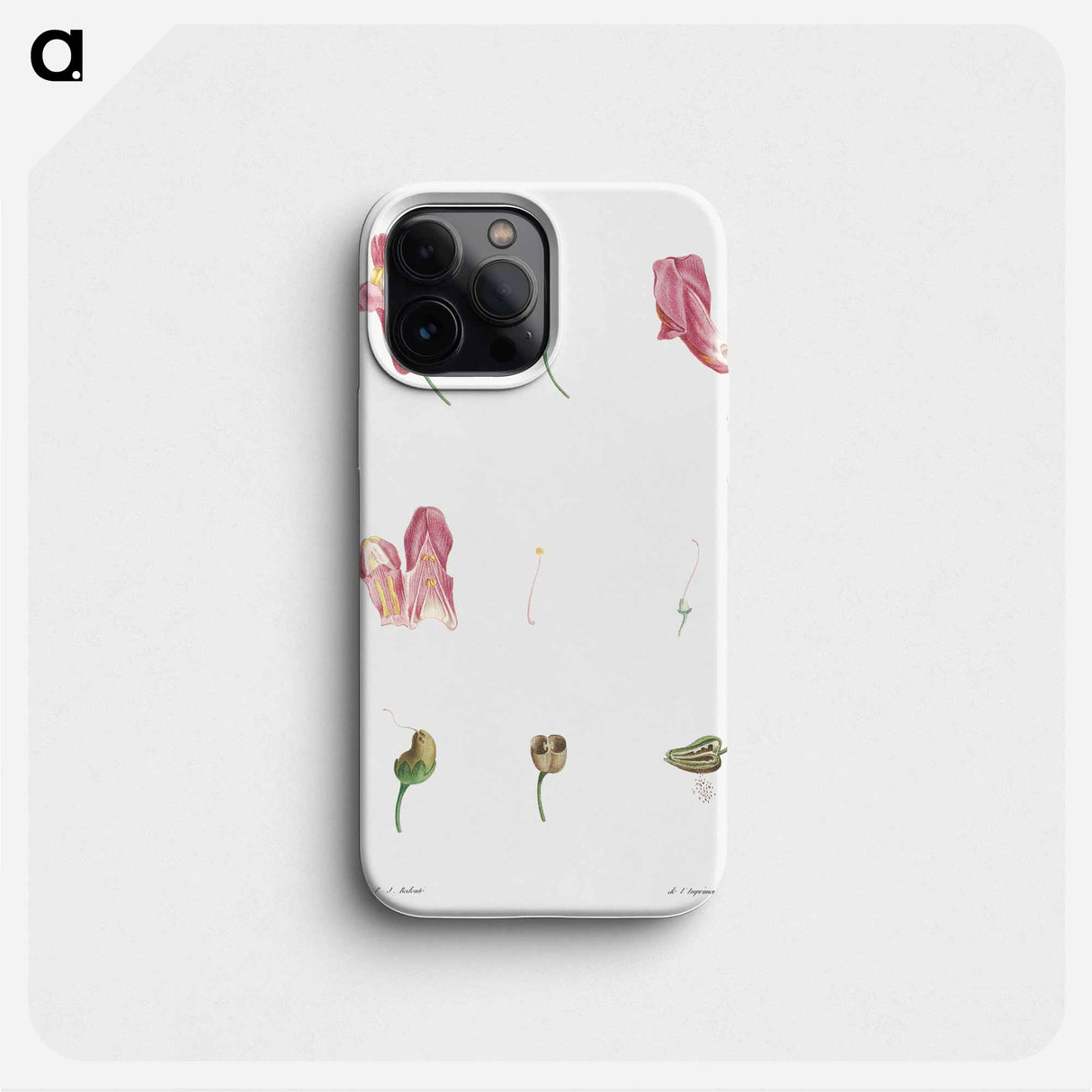 Dragon flowers - Pierre Joseph Redouté Phone Case.