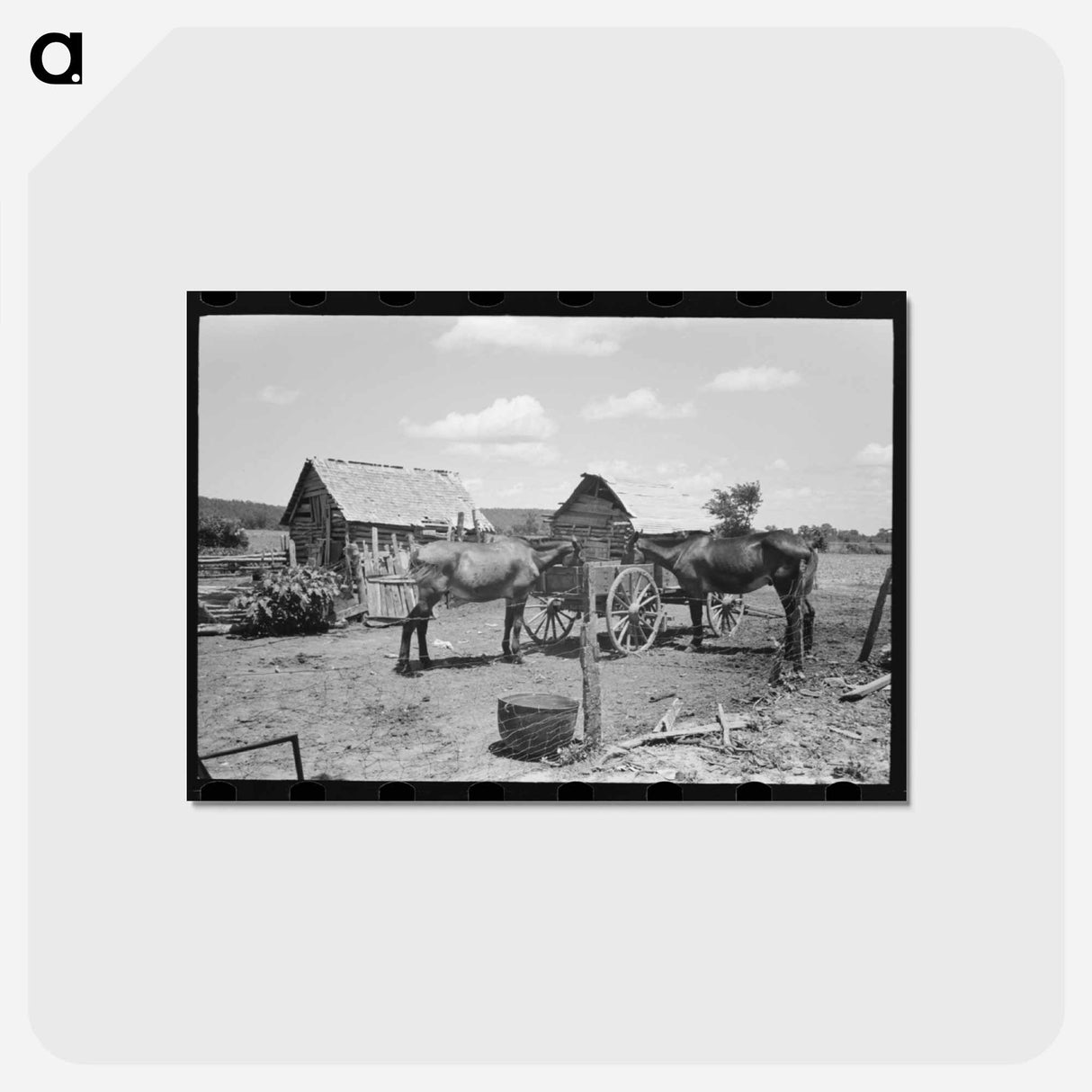 アートポストカード-Mules in Barnyard
 - ラッセル リー Postcard.