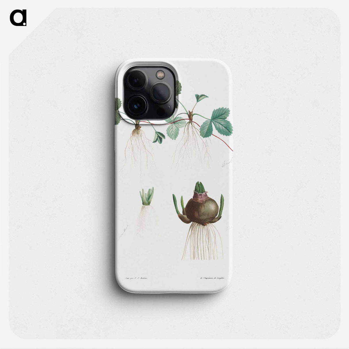 Botanical roots - ピエール ジョゼフ ルドゥーテ Phone Case.