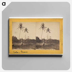 アートパネル-Road along the Beach
 - エドワード マイブリッジ Canvas.