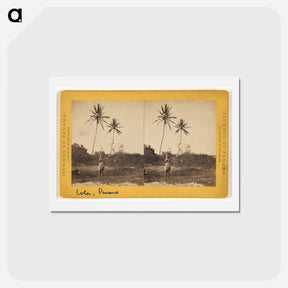 アートポストカード-Road along the Beach
 - エドワード マイブリッジ Postcard.