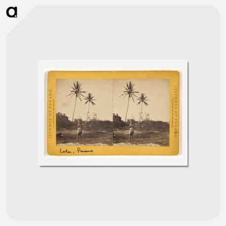 アートポストカード-Road along the Beach
 - エドワード マイブリッジ Postcard.