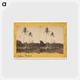 アートポストカード-Road along the Beach
 - エドワード マイブリッジ Postcard.
