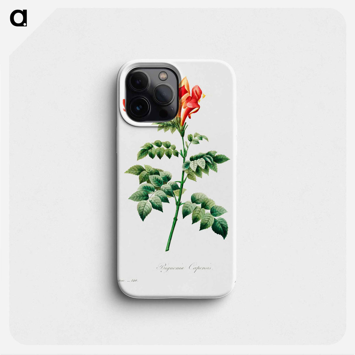 Bignonia capensis - Pierre Joseph Redouté Phone Case.