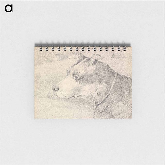 アートメモ帳-Head and Shoulders of a Collie Dog, Wearing a Leash or Tether, Sketchy Sheep in Background
 - イェール大学アートギャラリー Memo.