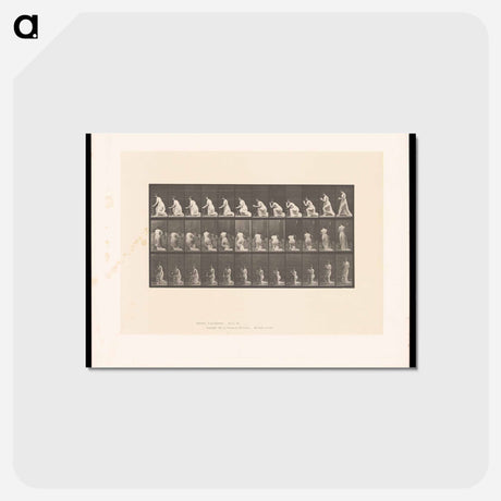 アートポストカード-Rising from Kneeling
 - エドワード マイブリッジ Postcard.