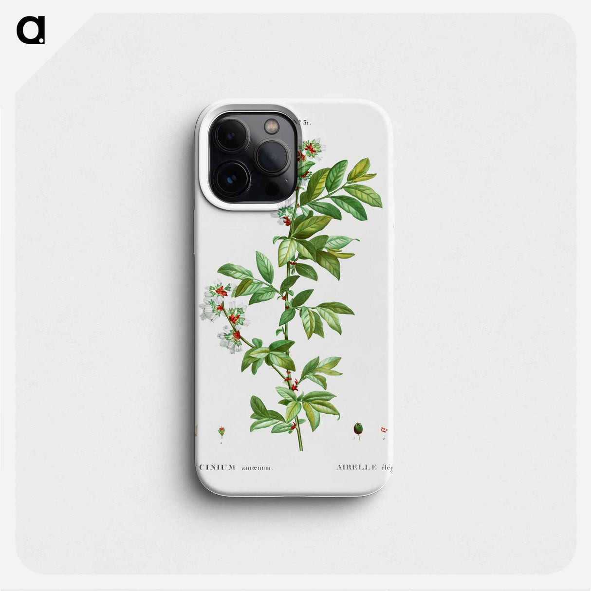 Vaccinium amoenum - ピエール ジョゼフ ルドゥーテ Phone Case.