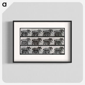 アートポスター-Cart-Horse Walking
 - エドワード マイブリッジ Poster.