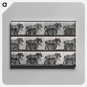 アートパネル-Cart-Horse Walking
 - エドワード マイブリッジ Canvas.
