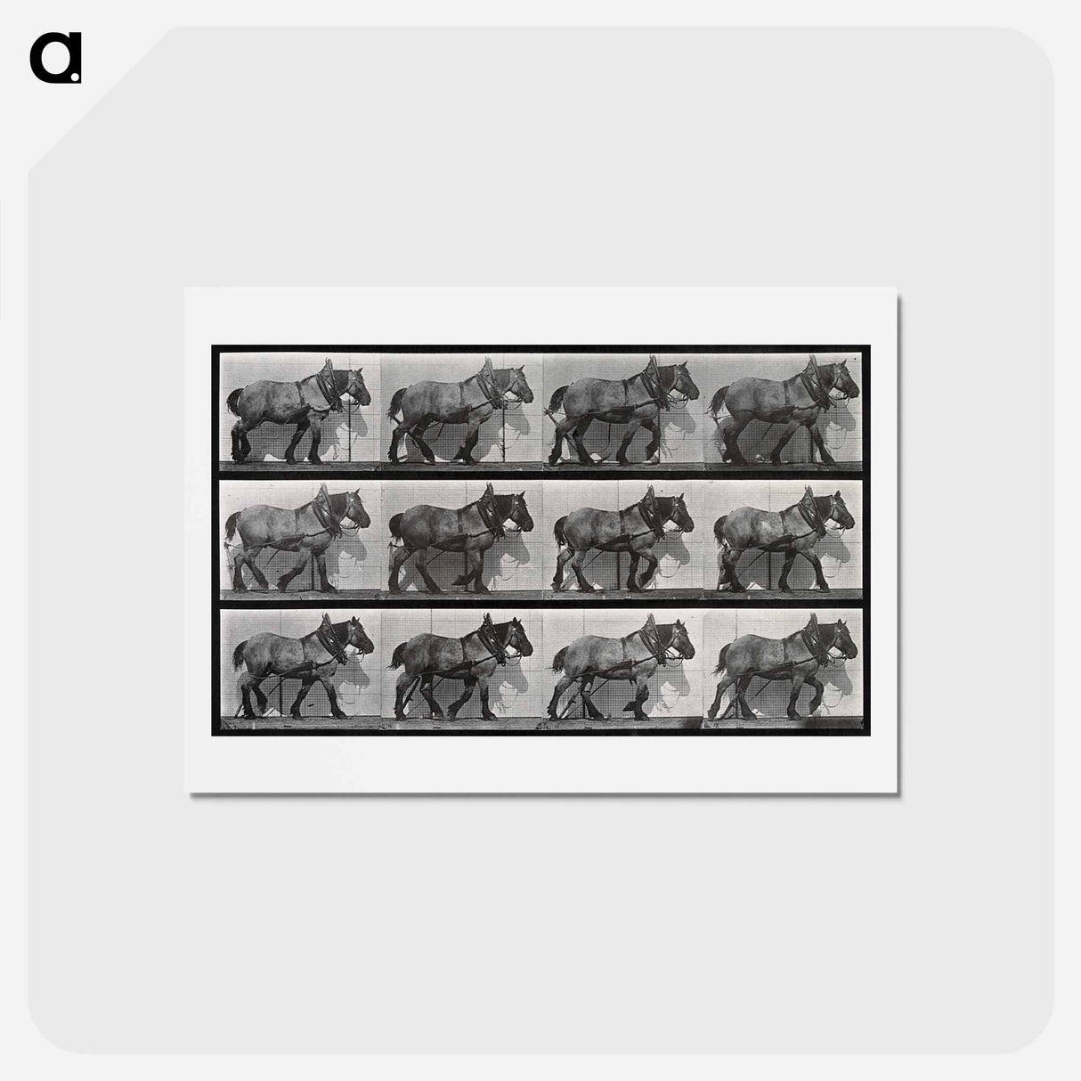 アートポストカード-Cart-Horse Walking
 - エドワード マイブリッジ Postcard.