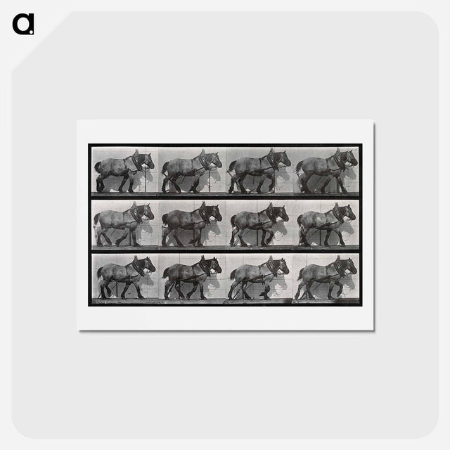 アートポストカード-Cart-Horse Walking
 - エドワード マイブリッジ Postcard.