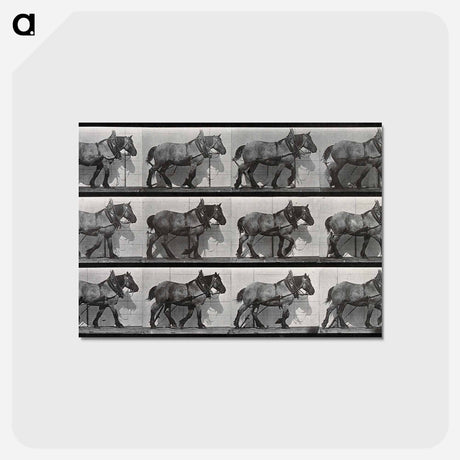 アートポストカード-Cart-Horse Walking
 - エドワード マイブリッジ Postcard.